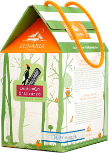 i[A `FXI[E_ubcH [2022]3000ml ([C) (obO C {bNX C)