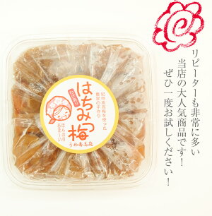紀州産の南高梅干し送料無料はちみつ漬け400g訳あり(但し北海道、沖縄、¥500)