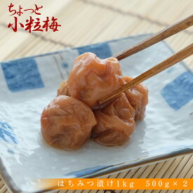 紀州南高梅 　ちょっぴり小粒 はちみつ 梅 500g×2 　　 訳アリ つぶれ梅　お弁当にぴったり　 お弁当 免疫 塩分補給 熱中症対策 お徳用 ご家庭用 プレゼント ギフト