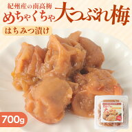 紀州南高梅　 はちみつ 梅 700g めちゃくちゃ大つぶれ【大容量・訳あり】送料無料 お弁当 おにぎり 梅酒 …