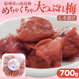紀 州南高梅　　 しそ 梅 700g　　めちゃくちゃ大つぶれ梅 訳アリ 塩分補給 　熱中症対策　　おかず お弁当 おにぎり 梅酒 焼酎 おすすめ 免疫 お徳用 ご家庭用 プレゼント ギフト