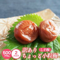 紀州南高梅　 しそ漬 ちょっぴり小粒梅　 500g×2　　訳ありつぶれ梅　 お弁当にぴったり お弁当 免疫 塩…