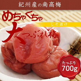 紀州産　南高梅 干し　 めちゃくちゃ大つぶれ 梅干し しそ 梅 700g ×2 　 おかず お弁当 おにぎり 梅酒 焼酎 おすすめ 免疫 塩分補給 熱中症対策 お徳用 ご家庭用 プレゼント ギフト