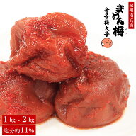 梅干し まけん梅（訳あり梅干し） 辛子梅太子 塩分約11% 紀州南高梅