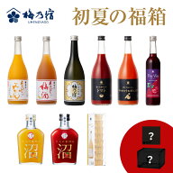 【スーパーSALE P10倍】【公式】 ＼ オリジナルグッズ付き ／ 梅乃宿 初夏の福箱 福袋 お酒 ギフト 梅酒 …