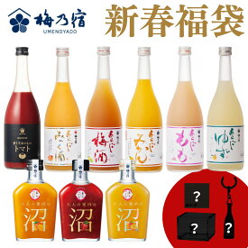 ＼期間限定ポイント10倍／【公式】 ＼ オリジナルグッズ付き ／ 梅乃宿 福箱 福袋 お酒