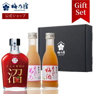 【公式】 梅乃宿 大人の果肉の沼「いちご」+ あらごし180ml ×2本 セット 高級専用ボックス フルーツリキ…