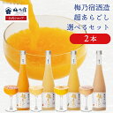 ＼期間限定ポイント10倍／【公式】 超あらごし 選べるリキュールセット 500ml×2本