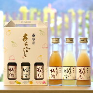 【公式】 梅乃宿 あらごし180mL×3本セット（梅酒・ゆず・もも） お試しセット リキュール 梅乃宿 梅乃宿…