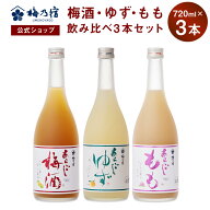 【公式】 梅乃宿 梅の宿 梅 ゆず もも 720ml×3本 メーカー直送 あらごしシリーズ セット お酒 あらごし…