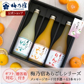 【公式】梅乃宿 選べるあらごしセット 720ml×3本（メッセージカード付）贈答箱入り 梅乃宿酒造 あらごしみかん あらごし梅酒 あらごしもも あらごしりんご あらごしれもん あらごしパイン あらごしジンジャー 果実酒 梅酒 飲み比べ お酒 リキュール 梅の宿 ギフト 人気