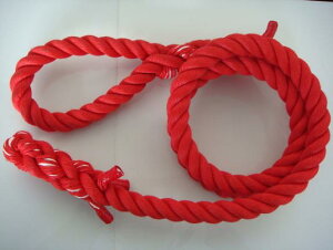 g[jO[v ^[U[v J[ oj 24mm@ԁ@WAC