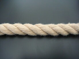 ロープ/ランバーロープ/切売り/カラーロープ/ランバーロープ　12mm