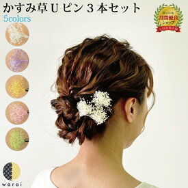 髪飾り かすみ草 | 成人式 花 花飾り 和装 ヘアアクセサリー ヘアーアクセサリー 入学式 ショート 卒業式 結婚式 披露宴 七五三 ウェディング ウエディング 振袖 着物 卒業袴 ヘッドドレス セットアップ かすみそう プリザーブドフラワー カスミソウ ヘアアレンジ