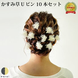 髪飾り かすみ草 | 成人式 花 花飾り 和装 ヘアアクセサリー ヘアーアクセサリー 入学式 ショート 卒業式 結婚式 披露宴 七五三 ウェディング 振袖 着物 卒業袴 ヘッドドレス かすみそう プリザーブドフラワー カスミソウ ヘアアレンジ 送料無料