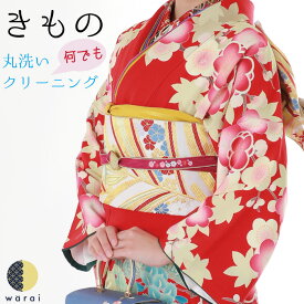 【9日〜マラソンP5倍】 着物クリーニング 七五三 きもの 訪問着 丸洗い 保存 シミ抜き プレス加工 洗濯 正絹 メンテナンス お手入れ 京洗い 振袖 色無地 小紋 袋帯 名古屋帯 卒業式 入学式 着物 クリーニング 和装 和服 衣替え