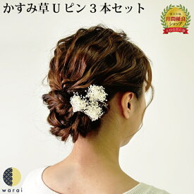 【9日〜マラソンP5倍】 髪飾り かすみ草 | 成人式 花 花飾り 和装 ヘアアクセサリー ヘアーアクセサリー 入学式 ショート 卒業式 結婚式 披露宴 七五三 ウェディング 振袖 着物 卒業袴 ヘッドドレス かすみそう プリザーブドフラワー カスミソウ ヘアアレンジ 送料無料