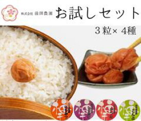 紀州南高梅 お試しセット3粒×4個セット【前田農園】