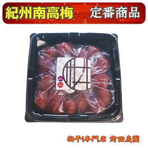 Oc_u嗱~gpvIB썂~Ђ F̗500g