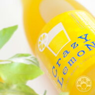 クレイジーレモン 720ml【山の壽酒造／福岡県】