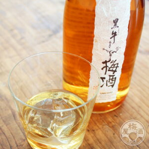 d ~ 720ml IB ~ IB Mtg y𑢁^a̎Rz