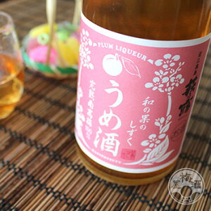 y1110|Cg10{zTI ảʂ̂ ߎ 500ml ~ Mtg y핽X^ꌧz