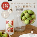 【予約販売／農園直仕入れの生梅】おうちで梅酒手作りキット 青梅 南高梅 500g梅酒 手作り セット 梅酒キット おすす…