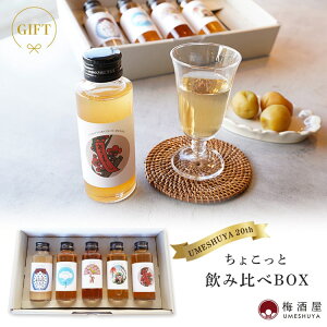 y12/4`6܂őzI20NӍՁz~ 傱ƈݔBOX ~ 100ml×5킨 r ݔ ~j {g Mtg v[g lC  킢a ̓  yY 