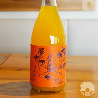 ヨー子 マンゴー 720ml 【楯の川酒造／山形県】【リキュール】