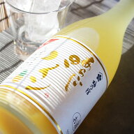 梅乃宿 あらごしパイン 720ml【梅乃宿酒造／奈良県】