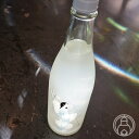 【11月10日限定ポイント10倍】大嶺 冬のおとずれ 720ml【大嶺酒造／山口県】【要冷蔵】【日本酒】