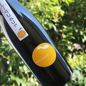 y11/28Izz퓿䂸iALL USAj720mly퓿𑢁^啪zyL[z