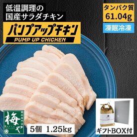 ギフト仕様 サラダチキン むね肉 しっとり 高タンパク 国産 冷凍 柔らかい パンプアップチキン 塩こうじ タンパク質 凍眠 簡単 調理不要 筋トレ プロテイン 鶏肉 ムネ肉 鶏胸肉 横浜 梅や 250g 5個セット