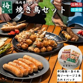 鶏肉専門店の焼き鳥セット やきとり yakitori バーベキュー BBQ ソーセージ 冷凍 家飲み お中元 簡単 父の日 ホームパーティー お花見 行楽 キャンプ BBQ 日南どり もも肉 つくね 鶏皮 砂肝 アスパラ 串
