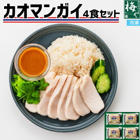 カオマンガイ 4個 セット 簡単調理 鶏肉 国産 むね肉 冷凍 ご飯付き ピリ辛 ジャスミンライス タイ料理 パンプアップチキン 簡単調理 海南鶏飯 シンガポール チキンライス サラダチキン アジアンフード 鶏肉専門店 横浜 神奈川 電子レンジ 自然解凍