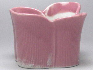 yBizԁ@pԌ^~jAؔijĩ֖Eꂪ܂j@[ig̐H]