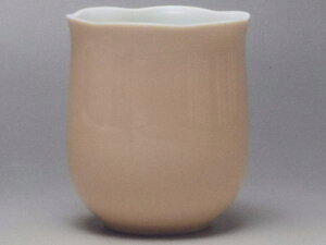 yBizpXeIW@Ԍ^ۂ݁@[ig̐H]