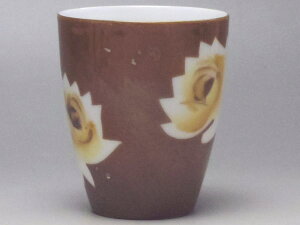 yCizo@ۂ݁iF֖́AEꂪ܂Bj@[ig̐H]