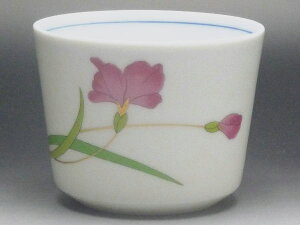 yBizԉԁ@΂傱@[ig̐H]