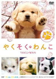 【中古】やくそくわんこ [DVD]