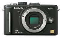 楽天市場】LUMIX gf1 レンズの通販