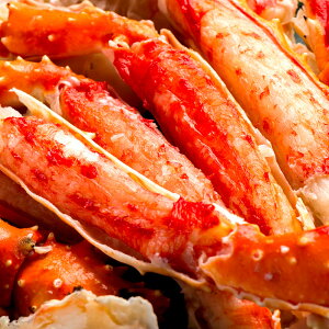 ɑ ^oKj  Jbg n[t|[V kނ VR TCY ΊI n[tJbg 1kg