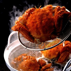 уKj kCY TCY ɏ IXՂ {Cς VR ъI 700g×1