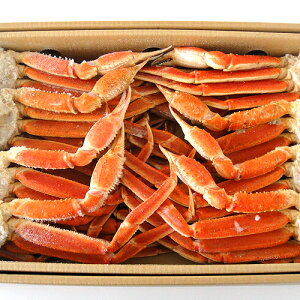 YCKj  3L-4L TCY {Cς VR { 킢I 5kg (13`16)