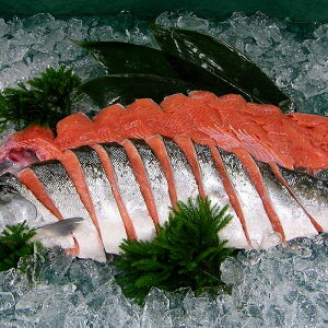 炸  ^pbN kCY gLVY sm Ƃ炸 pؐg NxQ Ii 󏭂ȌI 1