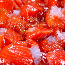 鮭ルイベ漬け 極上 サーモン ルイベ漬け 厳選素材を使用 今話題 北海道の郷土料理 鮭ルイベ