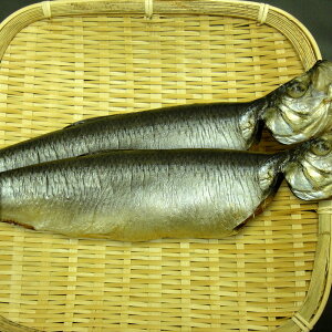 ニシン 丸干し 熟成品 数の子入り 干物 鰊 にしん 丸干し 2尾