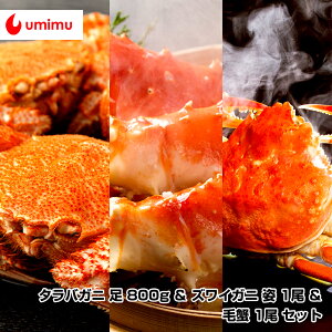 ؊CY ʕi C I^oKj 800g  YCKj p 1  ъI 1 Zbg