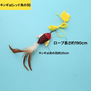 yzL炵 O z  mߋ Lp ˂炵 L ˂ lR qL q˂ ˂  Lpi ybgObY  ^s ybgpi LI` V