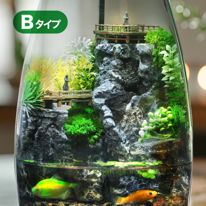 楽天市場】アクアリウムセット ミニチュア ランドスケープ 7点セット  